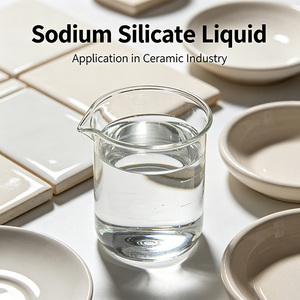 Silicate de potassium inorganique de haute qualité et à haute teneur pour la construction - Product Image 1