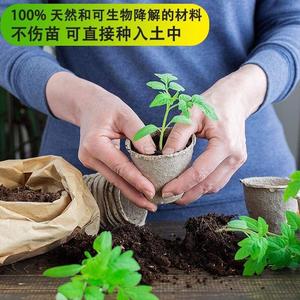 Pot <span class=keywords><strong>de</strong></span> semis en pulpe personnalisé coupe <span class=keywords><strong>de</strong></span> semis pot <span class=keywords><strong>de</strong></span> reproduction en papier biodégradable pot serre coupe <span class=keywords><strong>de</strong></span> culture <span class=keywords><strong>de</strong></span> fleurs et <span class=keywords><strong>de</strong></span> légumes - Product Image 2