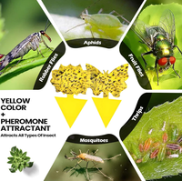 Pièges à insectes décoratifs irréguliers personnalisables, design élégant pour les étagères de plantes d'intérieur et la décoration de la maison
