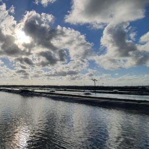 HDPE 연못 라이닝/댐 라이너/HDPE Geomembrane - Product Image 2