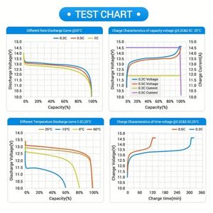 Batterie au lithium-ion personnalisable BMS 12V 24V 100Ah 120Ah 150Ah 170Ah 200Ah 300Ah 460Ah 12V 100Ah 48V 200Ah - Product Image 4