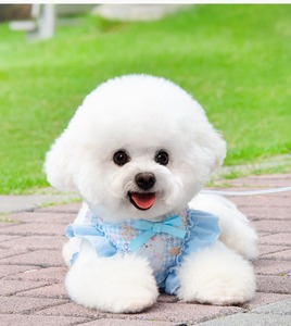 Fashion Design Soft Adjustable Breathable Dog <strong>Harness</strong> with Leash Comfortable Vest Pet <strong>Harness</strong> for Small Medium Dogs <strong>Cats</strong> - Product Image 3