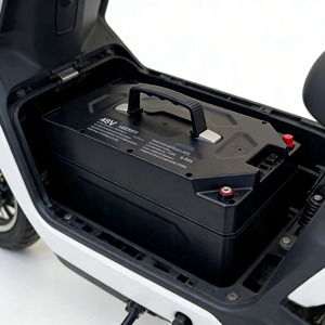 Manufacturer Directly Supplied <b>48V</b> 30Ah LiFePO4 <b>Battery</b> Pack with 4000 Cycles for E-Tricycles - Product Image 5