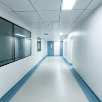 Porte battante de salle blanche GMP sur mesure en acier galvanisé, hermétique, avec fenêtre d'observation