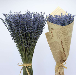 Flor de lavanda seca Natural, lavanda preservada, flor de larga duración para eventos y decoración del hogar - Product Image 4