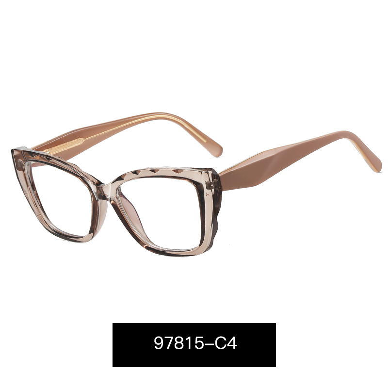 C4 Transparent gray/ Coral brown