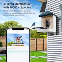 Mangeoire à oiseaux intelligente et automatique pour l'extérieur avec caméra à énergie solaire et fonctionnalités de reconnaissance innovantes