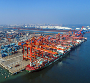 Transporte marítimo/marítimo de China a Long Beach Fob Qingdao - Product Image 6