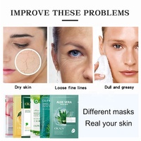 Grosir Kosmetik Organik Perawatan Kulit Alami Kecantikan Pelembab Menutrisi Masker Wajah Kustom untuk Kulit