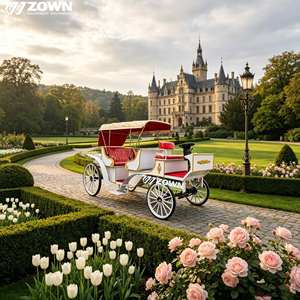Nuevo Estilo de Carruaje Eléctrico Clásico de 4 Ruedas, Personalizado, de Lujo, para Turismo, Bodas, Hoteles Reales, Marca ZOWN, 2 Años de Garantía - Product Image 1