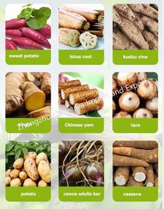 2023 di vendita calda di manioca grattugia macchina smerigliatrice trucioli per la produzione di manioca disidratazione macchina per sbucciare la manioca - Product Image 6