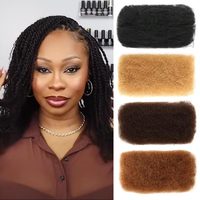 Cheveux humains brésiliens Remy Afro Kinky en vrac pour tresses et dreadlocks
