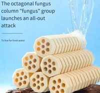 Medio Filtrante Cerámico Premium para Acuarios de Peces y Estanques de Agua Dulce/Salada, Casa para Bacterias de Raíz de Loto de Árbol de Montaña