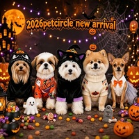 Nouvelle arrivée : adorable sweat-shirt en polyester pour petits chiens et chats, costume de sorcière pour Halloween, idéal pour les fêtes et les séances photo.