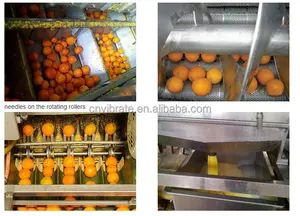 VBJX Automatic Lemon Orange Oil Cold Press Essential Citrus Extractor Machine
