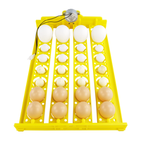 Couveuse automatique pour poulets, canards, oies, cailles, 32 œufs, panier à fleurs, mini plateau à œufs, 220V/110V/12V