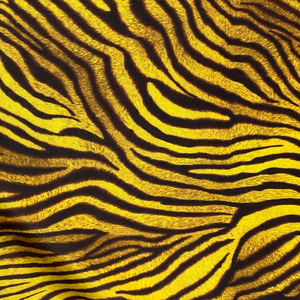 Vải Đồ Bơi Thể Thao In Hình Ngựa Vằn Thời Trang 87% Polyester 13% Spandex Chất Lượng Cao - Product Image 4