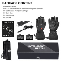 Gants de ski d'hiver coupe-vent et résistants à l'eau pour sports d'extérieur Gants de snowboard chauffants à batterie