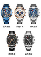 Dropshipping Wasserdichte Raidox Quarz-Armbanduhr 3 bar für Herren Analoger Chronograph Armbanduhren für Männer 30m Quarzuhr