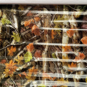 ฟิล์มไฮโดรดิป ลายคาร์บอนไฟเบอร์ ฟิล์มพิมพ์ลายด้วยน้ำ-ยี่ห้อ BST ขนาด 50 ซม. สีเขียว ฟิล์มไฮโดรดิป - Product Image 2