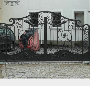 Puertas de Patio de Hierro Forjado - Product Image 2