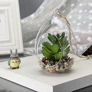 Vaso a Sfera Trasparente, Terrario in Cristallo per Piante Grasse e Aeree, Vaso da Parete in Vetro Soffiato a Mano Ecologico - Product Image 5