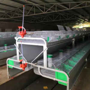 Cassa da parto molto bella di qualità garantita Rabit roditore allevamento Rack gabbie da laboratorio per gabbia di coniglio - Product Image 4