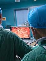 Système d'imagerie endoscopique portable 4K IKEDA YKD-9132 pour laparoscopie et endoscopie ORL