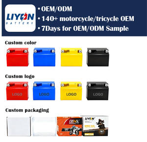 Batterie LIYON pour <span class=keywords><strong>buggy</strong></span> utilitaire adulte 1000cc 4x4 UTV, batterie au plomb-acide, tout-terrain, 4 places, moteur à essence UTV/ATV - Product Image 6