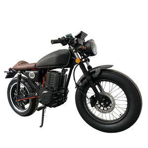 Motocicleta Eléctrica Ecológica de Estilo Retro 2025, Motor de 1500W, Batería de Plomo-Ácido de 72V y 20Ah - Product Image 1