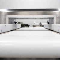 Détecteur de métaux numérique avancé pour la viande congelée sur les lignes de production – Détection automatique des corps étrangers métalliques