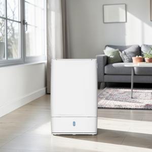 Déshumidificateur d'air DDM, capacité de déshumidification de 10 L, pour chambre à coucher, certifié ISO 9001 CE, léger, silencieux, écologique - Product Image 1