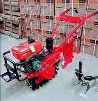 Motor diésel 2 ruedas Mini Tractor para caminar Agricultura Potencia Tiller