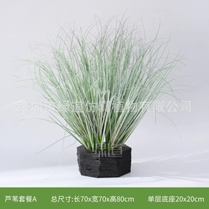 Plante artificielle de roseau Greenway 30-100cm, base fleurie, décoration intérieure, style naturel, ornement pour salon - Product Image 3