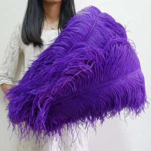 Vente en gros de grandes plumes d'autruche noires 75-80 CM de haute qualité plumes d'autruche moelleuses et lisses motif teint multicolore - Product Image 1