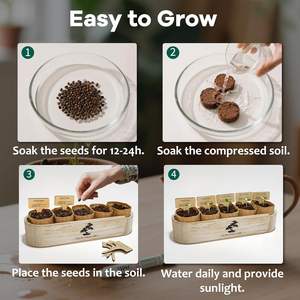 Kit de Bonsái para <span class=keywords><strong>Principiantes</strong></span>, Bonsáis Únicos para Adultos, Kit Completo de Plantas de Interior, Regalo Ideal de Jardinería para Mujeres y Hombres - Product Image 4