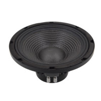 Haut-parleur Line Array 1075-026, driver de 10 pouces, haut-parleur médium-grave, enceinte audio professionnelle, boîtier métallique passif, unité de haut-parleur 8 ohms
