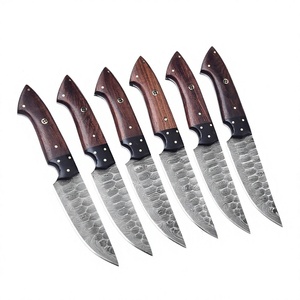 6-Piece Damascus Steel Hunting Knife Set Wood Handle <b>Drop</b> Point Bevel Blade OEM/ODM Kitchen Cutlery Gift <b>Box</b> Includes - Product Image 1