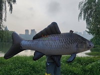 Décoration extérieure, poisson crucian gonflable géant suspendu, modèle de poisson gonflable personnalisé pour parc à thème, événement