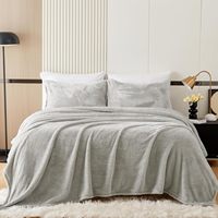 Jeu de draps de lit 4 pièces Double Face Velvet Plush Fleece Extra Soft Washable Cozy Flannel Ensembles de draps de lit pour l'hiver