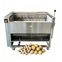 Industriële elektrische groente- en fruitwasmachine, borstelwasmachine, fruit- en appelwasser