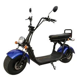 สกู๊ตเตอร์ไฟฟ้า 2019 COC / EEC 1500W L1e-<span class=keywords><strong>B</strong></span> ระยะทางสูงสุด 45 / 25 กม. - Product Image 1