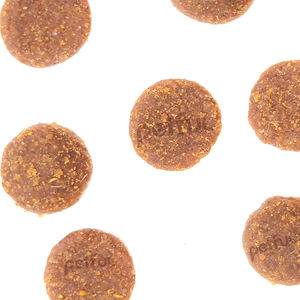 Alimento Seco para Gatos y Perros Probiótico Aumento Peso Cuidado Urinario Digestión Sensible Salud Digestiva Dietas Especiales - Product Image 3