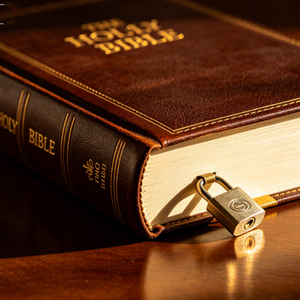 Biblia Sagrada Cristiana de Lujo con Impresión Premium, Biblia con Impresión en Cuero y Lámina Dorada, Biblia Sagrada NIV de Letra Gigante - Product Image 1
