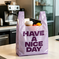 Sac de shopping en plastique semi-transparent violet clair pour cadeaux, imprimé « Have a Nice Day », idéal pour les boîtes cadeaux de fêtes