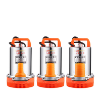 Pompe à eau submersible portable DC pour la maison et les véhicules électriques 12V/24V/48V/60V/72V