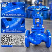 Vanne à soupape à bride en fonte ductile GGG50 robuste DN80 PN16 pour les systèmes de conduites d'eau des mines et des carrières