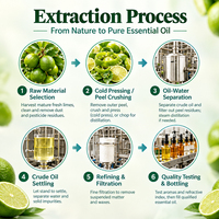 Huile essentielle de citron vert 100% pure et naturelle, qualité cosmétique biologique, huile de citron vert pour les soins des cheveux et du corps, massage, marque privée