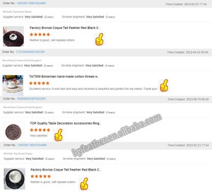 Manteles Individuales Redondos de Plumas de Pavo Real, de 40 cm de Diámetro, a Precio Económico al por Mayor, para Decoración del Hogar - Product Image 6