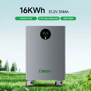 16KWh 51.2V 314Ah Stackable Solar Battery Home <b>Energy</b> <b>Storage</b> <b>System</b> for Off-Grid Hybrid - Product Image 1